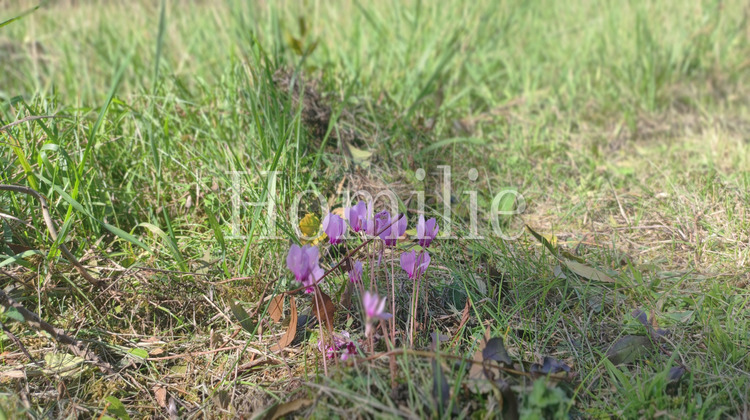 Ma-Cabane - Vente Terrain La Croix-en-Touraine, 2439 m²