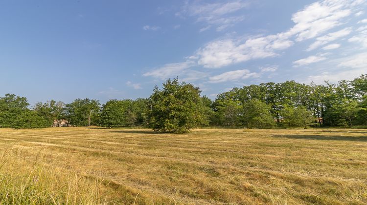 Ma-Cabane - Vente Terrain LA FERTE IMBAULT, 3565 m²