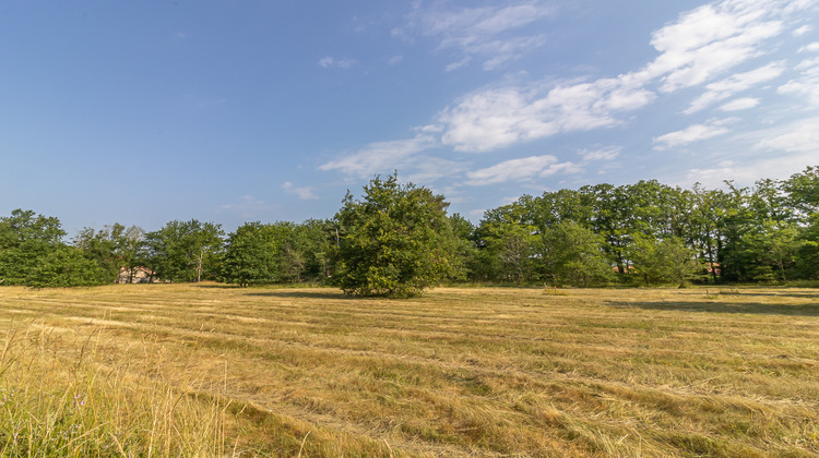 Ma-Cabane - Vente Terrain LA FERTE IMBAULT, 7161 m²