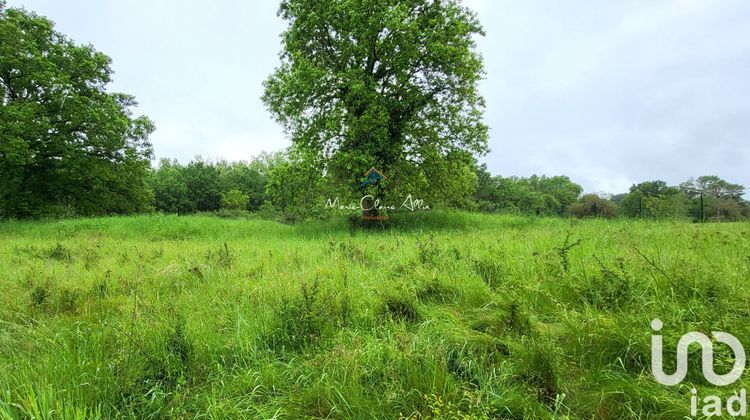 Ma-Cabane - Vente Terrain La Ferté-Saint-Cyr, 1378 m²