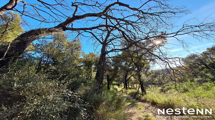 Ma-Cabane - Vente Terrain LA GARDE-FREINET, 19000 m²