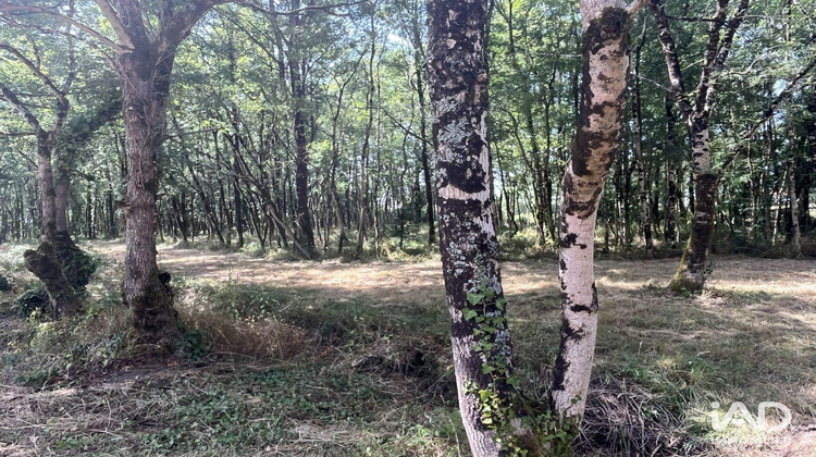 Ma-Cabane - Vente Terrain La Garnache, 7530 m²