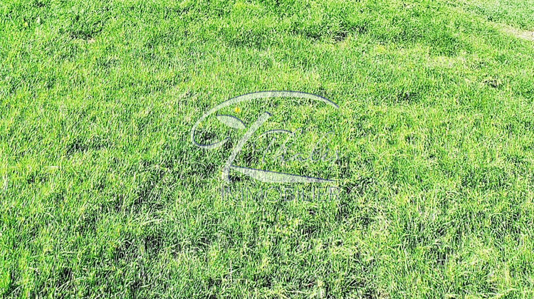 Ma-Cabane - Vente Terrain La Lande-de-Fronsac, 343 m²