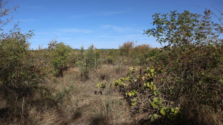 Ma-Cabane - Vente Terrain LA LIVINIERE, 0 m²