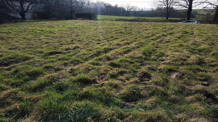 Ma-Cabane - Vente Terrain La Neuveville-sous-Chatenois, 3042 m²