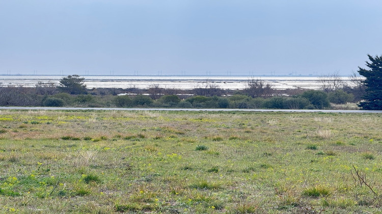 Ma-Cabane - Vente Terrain LA PALME, 5410 m²