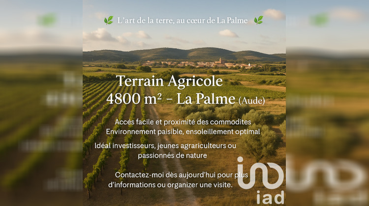 Ma-Cabane - Vente Terrain La Palme, 4800 m²