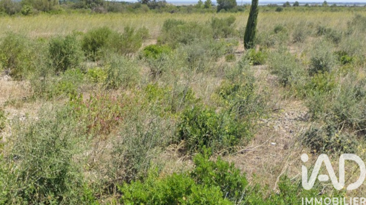 Ma-Cabane - Vente Terrain La Palme, 3510 m²