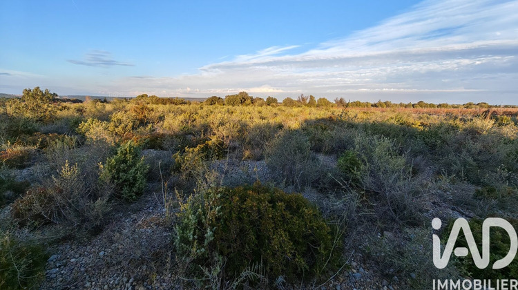 Ma-Cabane - Vente Terrain La Palme, 3300 m²