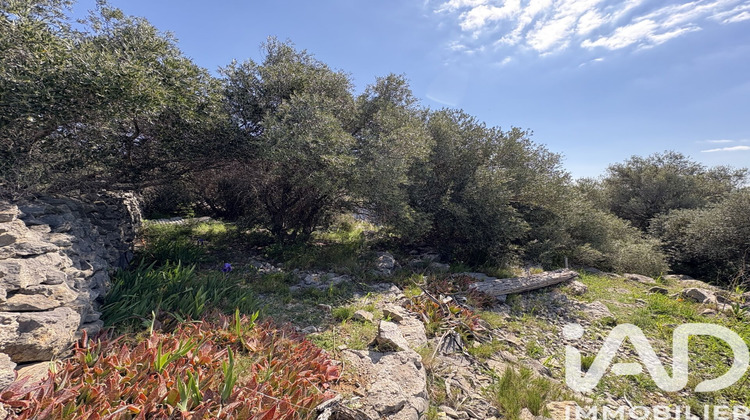 Ma-Cabane - Vente Terrain La Palme, 729 m²