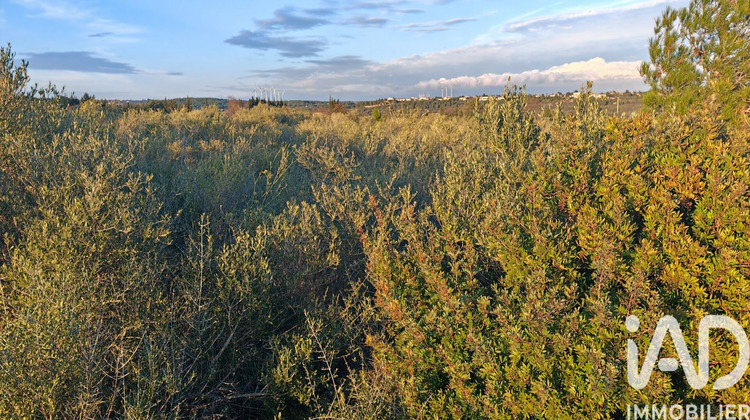 Ma-Cabane - Vente Terrain La Palme, 5940 m²