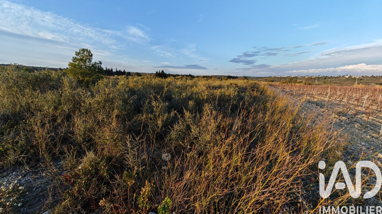 Ma-Cabane - Vente Terrain La Palme, 5940 m²