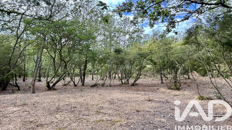 Ma-Cabane - Vente Terrain La Palme, 4787 m²