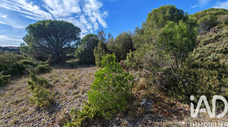 Ma-Cabane - Vente Terrain La Palme, 4480 m²