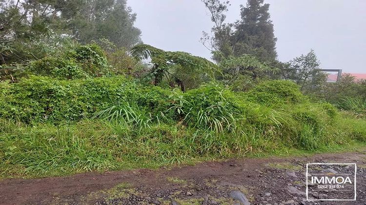 Ma-Cabane - Vente Terrain La Plaine-des-Palmistes, 750 m²