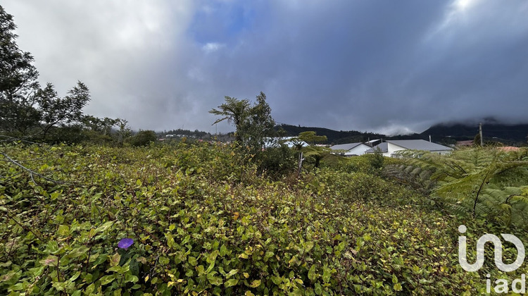 Ma-Cabane - Vente Terrain La Plaine des Palmistes, 7682 m²