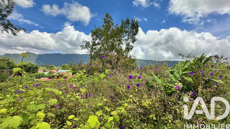 Ma-Cabane - Vente Terrain La Plaine-des-Palmistes, 1090 m²