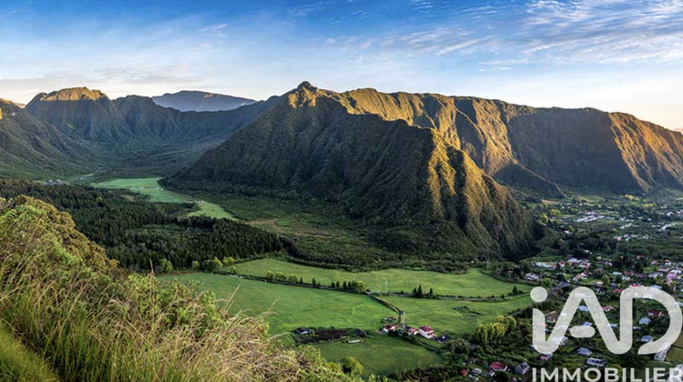 Ma-Cabane - Vente Terrain La Plaine des Palmistes, 2891 m²