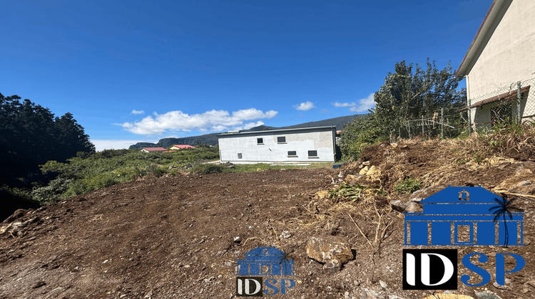 Ma-Cabane - Vente Terrain La Plaine-des-Palmistes, 1519 m²