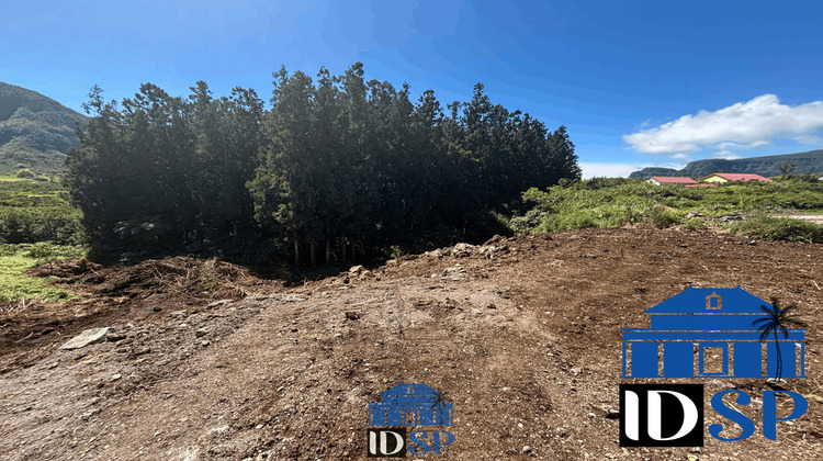 Ma-Cabane - Vente Terrain La Plaine-des-Palmistes, 1519 m²