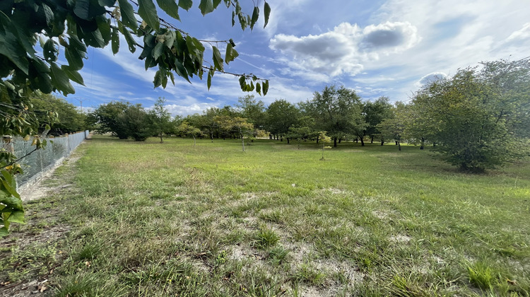 Ma-Cabane - Vente Terrain La Puye, 4166 m²