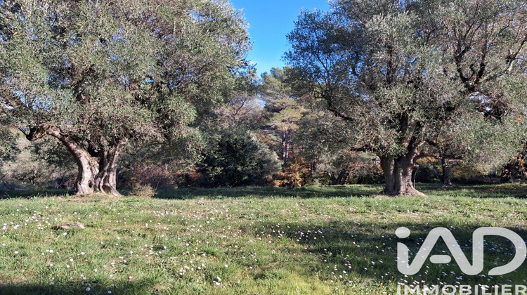 Ma-Cabane - Vente Terrain La Roquette-sur-Siagne, 3233 m²