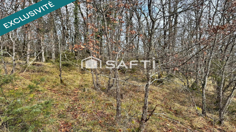 Ma-Cabane - Vente Terrain La Rouquette, 4860 m²