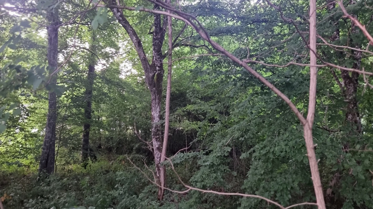 Ma-Cabane - Vente Terrain La Selle-en-Hermoy, 2239 m²