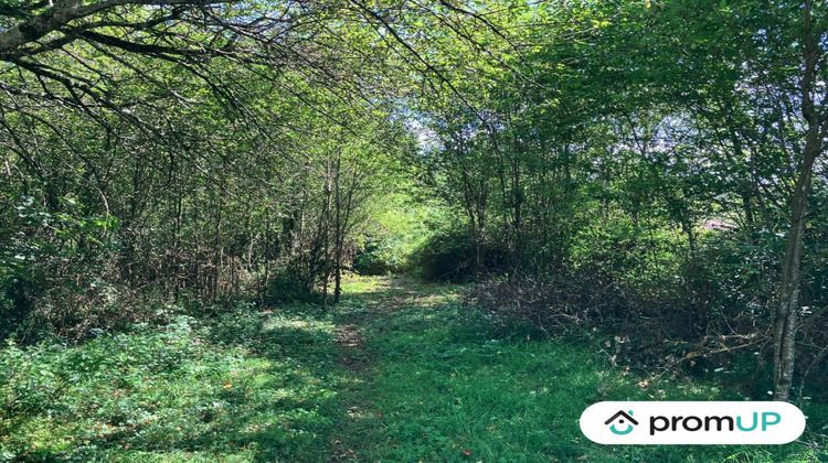 Ma-Cabane - Vente Terrain La Souterraine, 9774 m²