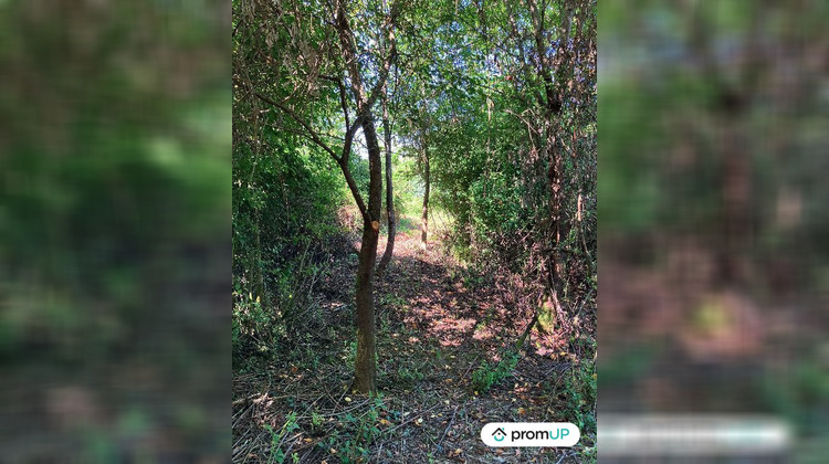 Ma-Cabane - Vente Terrain La Souterraine, 9774 m²