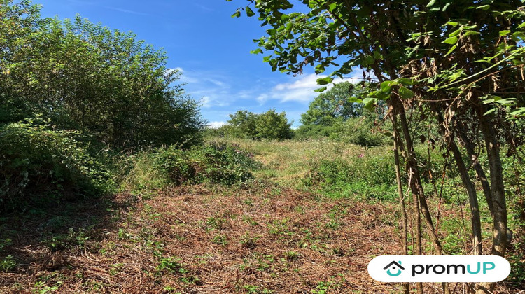 Ma-Cabane - Vente Terrain La Souterraine, 9774 m²