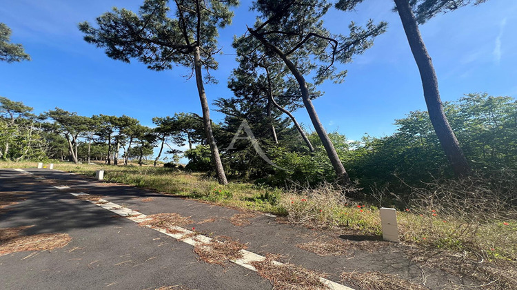 Ma-Cabane - Vente Terrain LA TRANCHE-SUR-MER, 314 m²