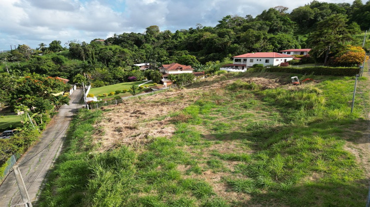 Ma-Cabane - Vente Terrain LA TRINITE, 2822 m²