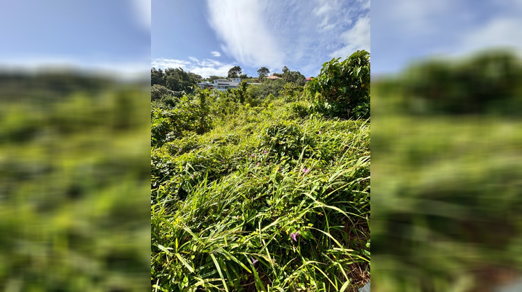 Ma-Cabane - Vente Terrain LA TRINITE, 900 m²