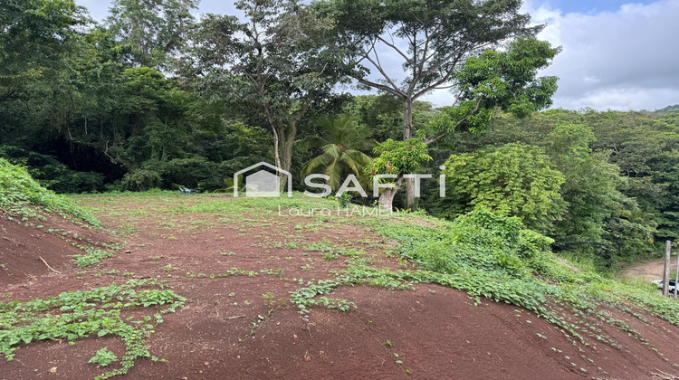 Ma-Cabane - Vente Terrain La Trinite, 2479 m²