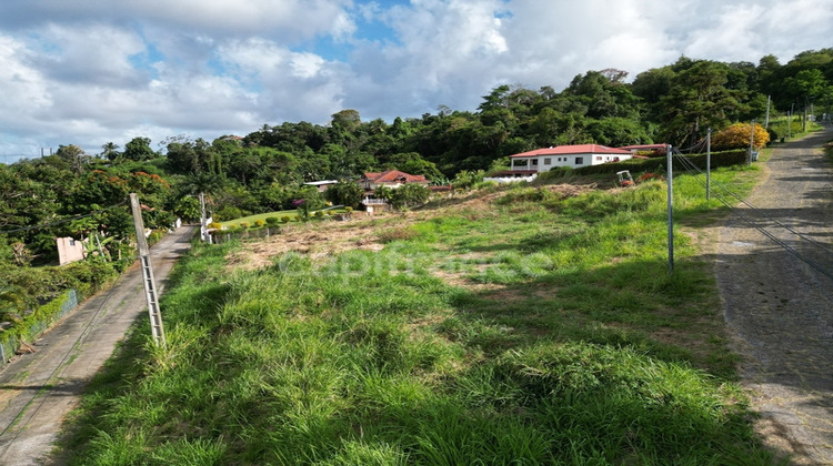 Ma-Cabane - Vente Terrain LA TRINITE, 2822 m²