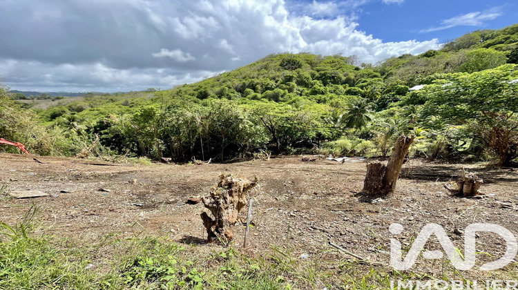 Ma-Cabane - Vente Terrain La Trinité, 2597 m²