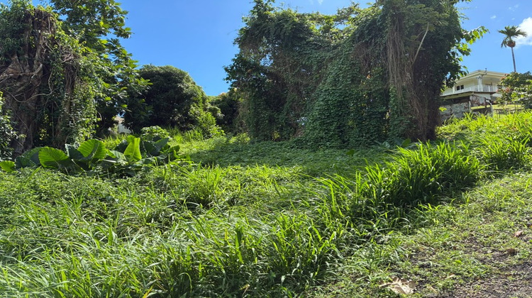 Ma-Cabane - Vente Terrain LA TRINITE, 1075 m²