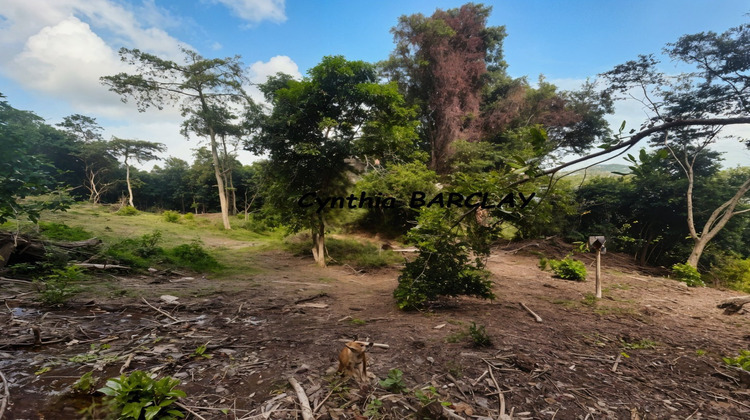 Ma-Cabane - Vente Terrain LA TRINITE, 2634 m²