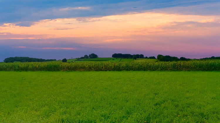 Ma-Cabane - Vente Terrain LABASTIDE VILLEFRANCHE, 5000 m²