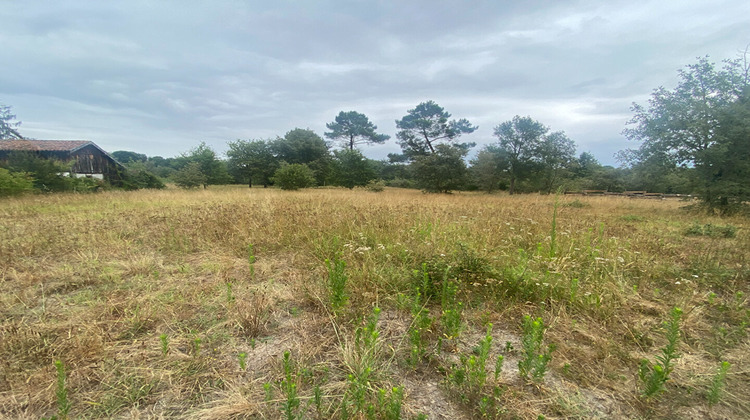 Ma-Cabane - Vente Terrain LABRIT, 1504 m²