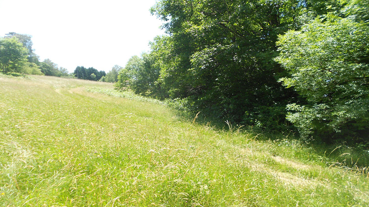 Ma-Cabane - Vente Terrain LACROUZETTE, 1900 m²