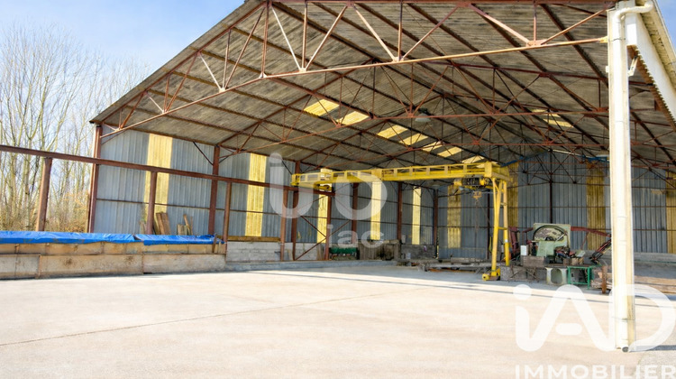 Ma-Cabane - Vente Terrain Lafrançaise, 1245 m²