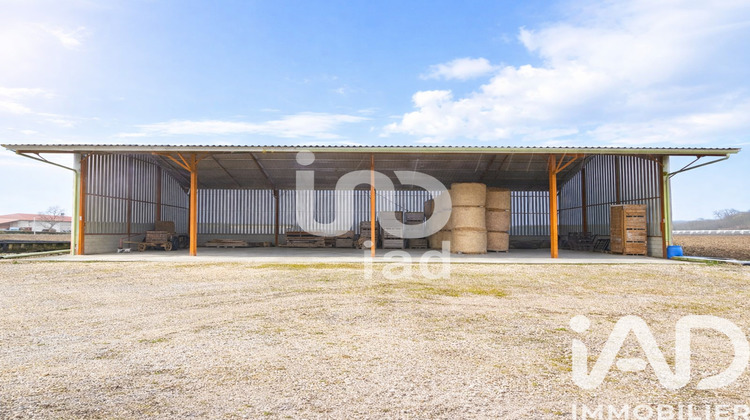 Ma-Cabane - Vente Terrain Lafrançaise, 1245 m²