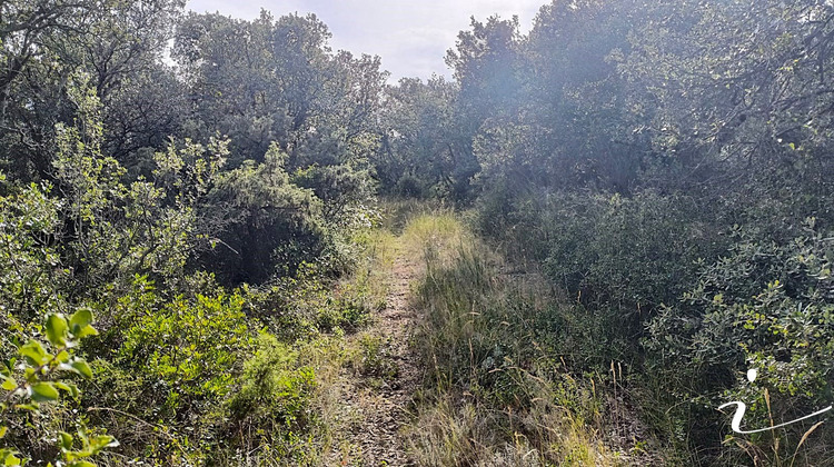 Ma-Cabane - Vente Terrain LAGAMAS, 12250 m²