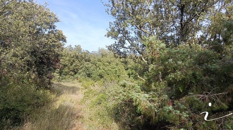 Ma-Cabane - Vente Terrain LAGAMAS, 12250 m²