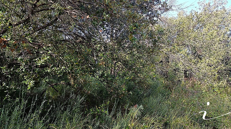 Ma-Cabane - Vente Terrain LAGAMAS, 12250 m²