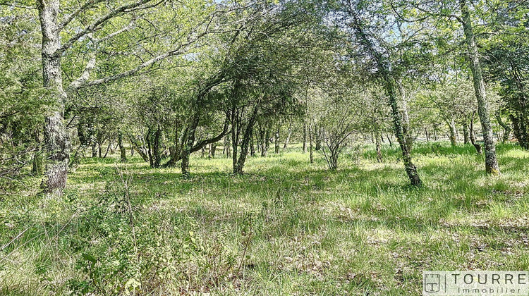 Ma-Cabane - Vente Terrain LAGORCE, 6856 m²