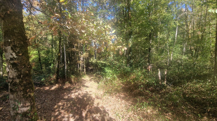 Ma-Cabane - Vente Terrain LAGRANGE, 12555 m²