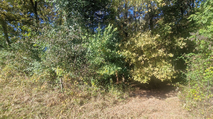 Ma-Cabane - Vente Terrain LAGRANGE, 12555 m²